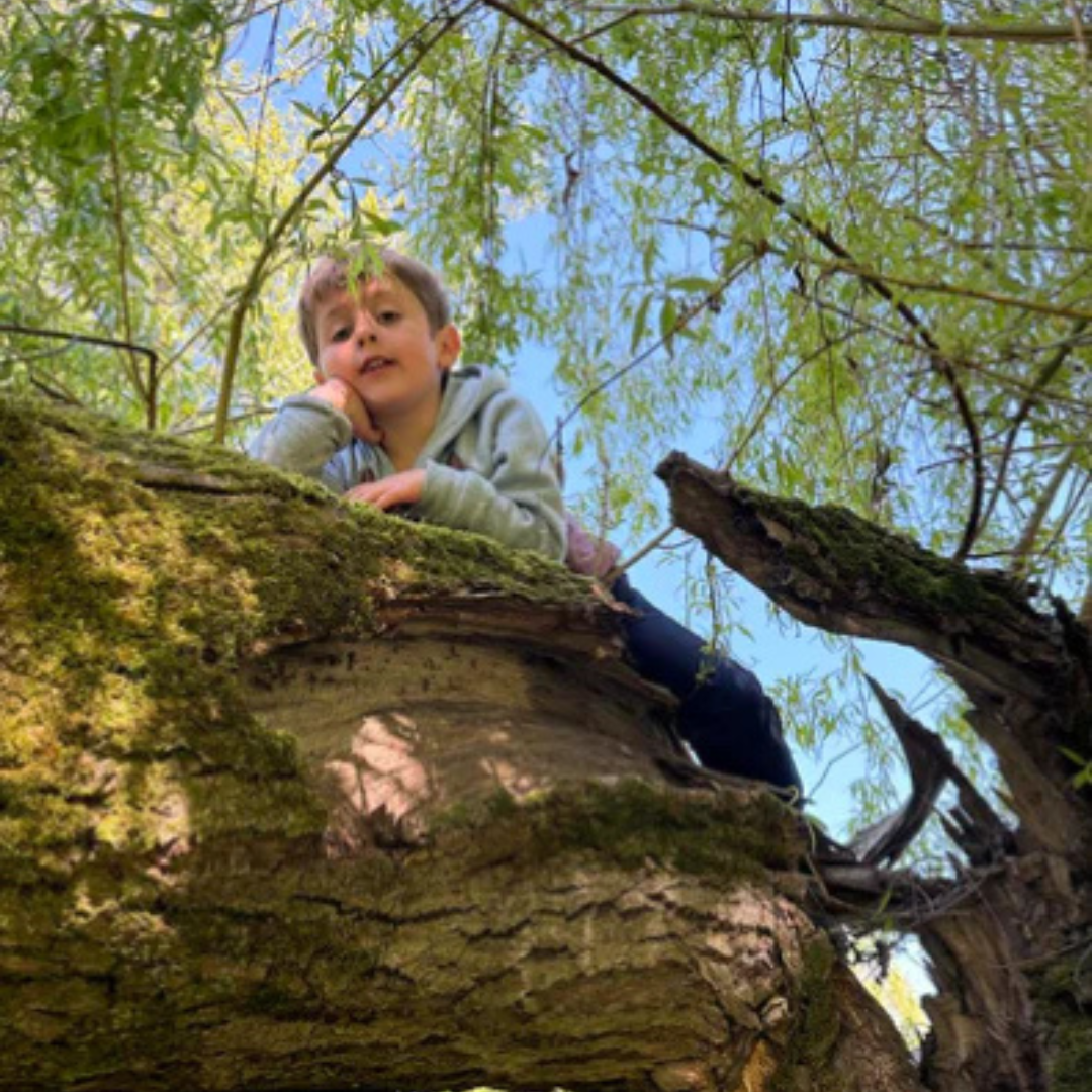 July 2026 Summer Camp at Pacific Spirit Park Vancouver - Ages 4-7